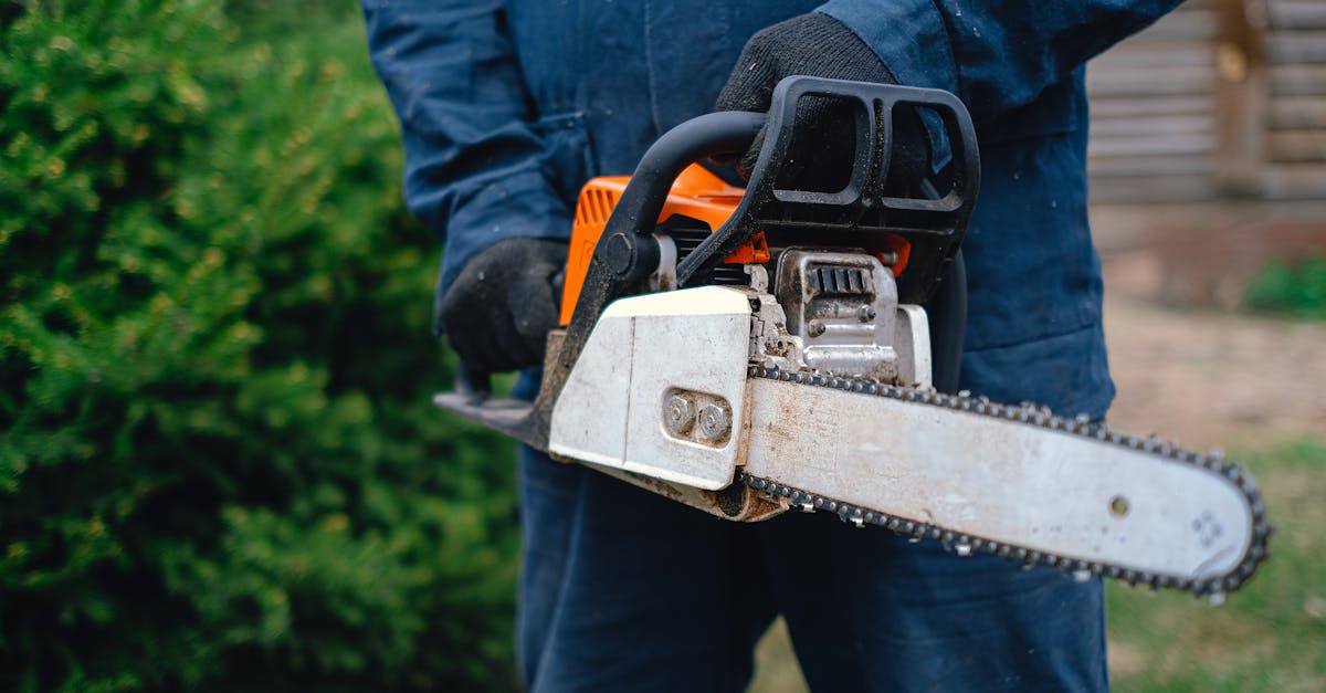 Stump Grinding